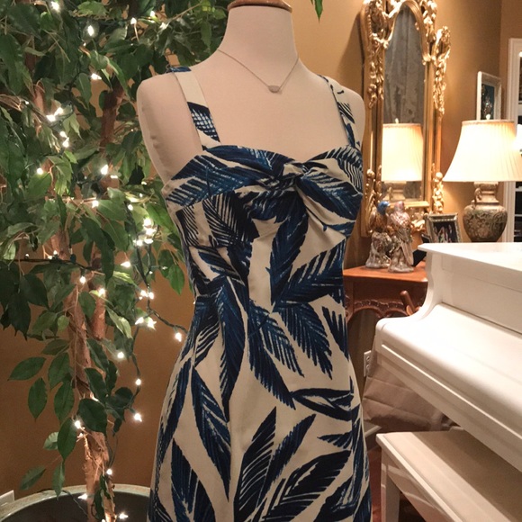 JONES NEW YORK SIGNATURE STRETCH BLUE, WHITE DRESS - Picture 5 of 8